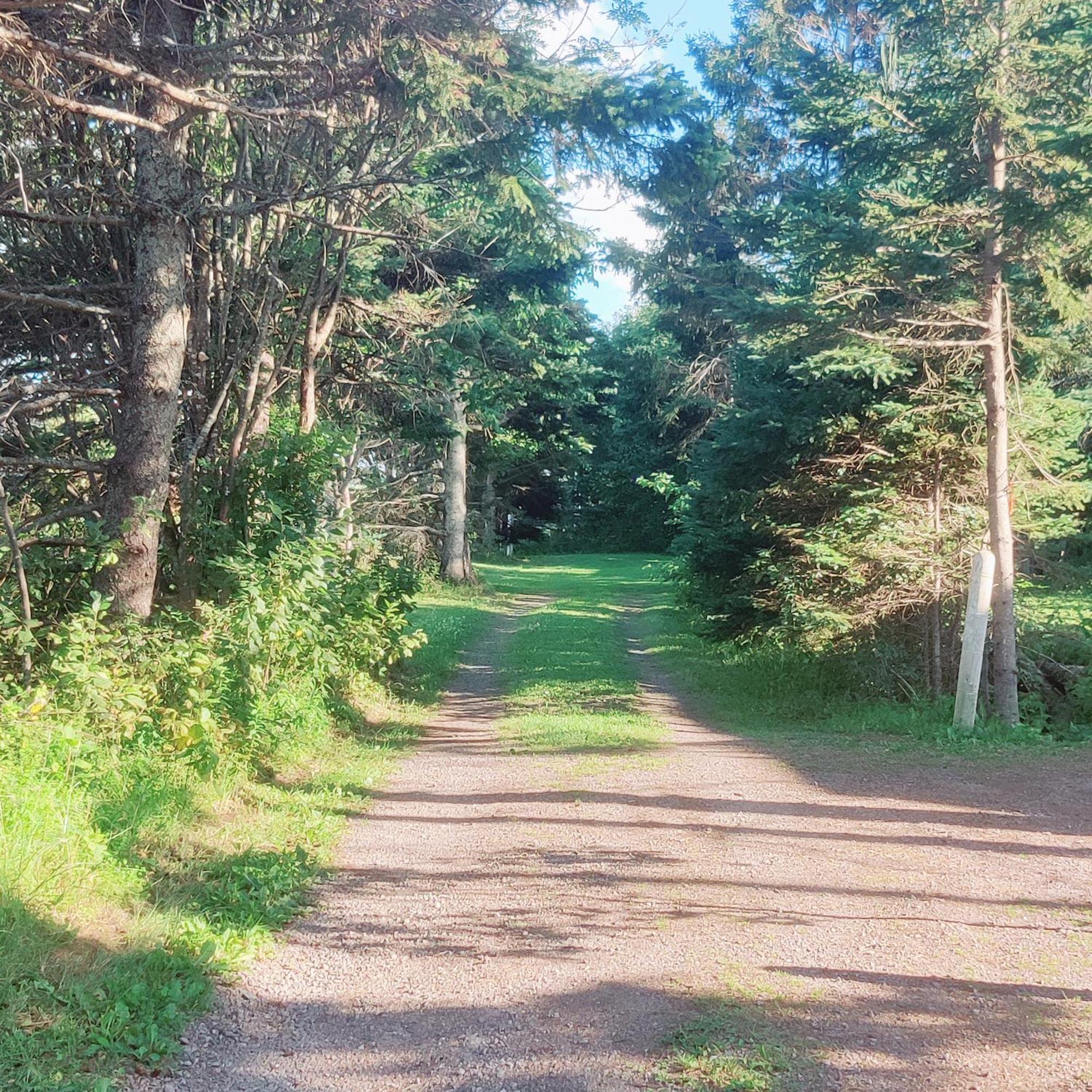 Avonlea Forest Hill Cottages New Glasgow 외부 사진