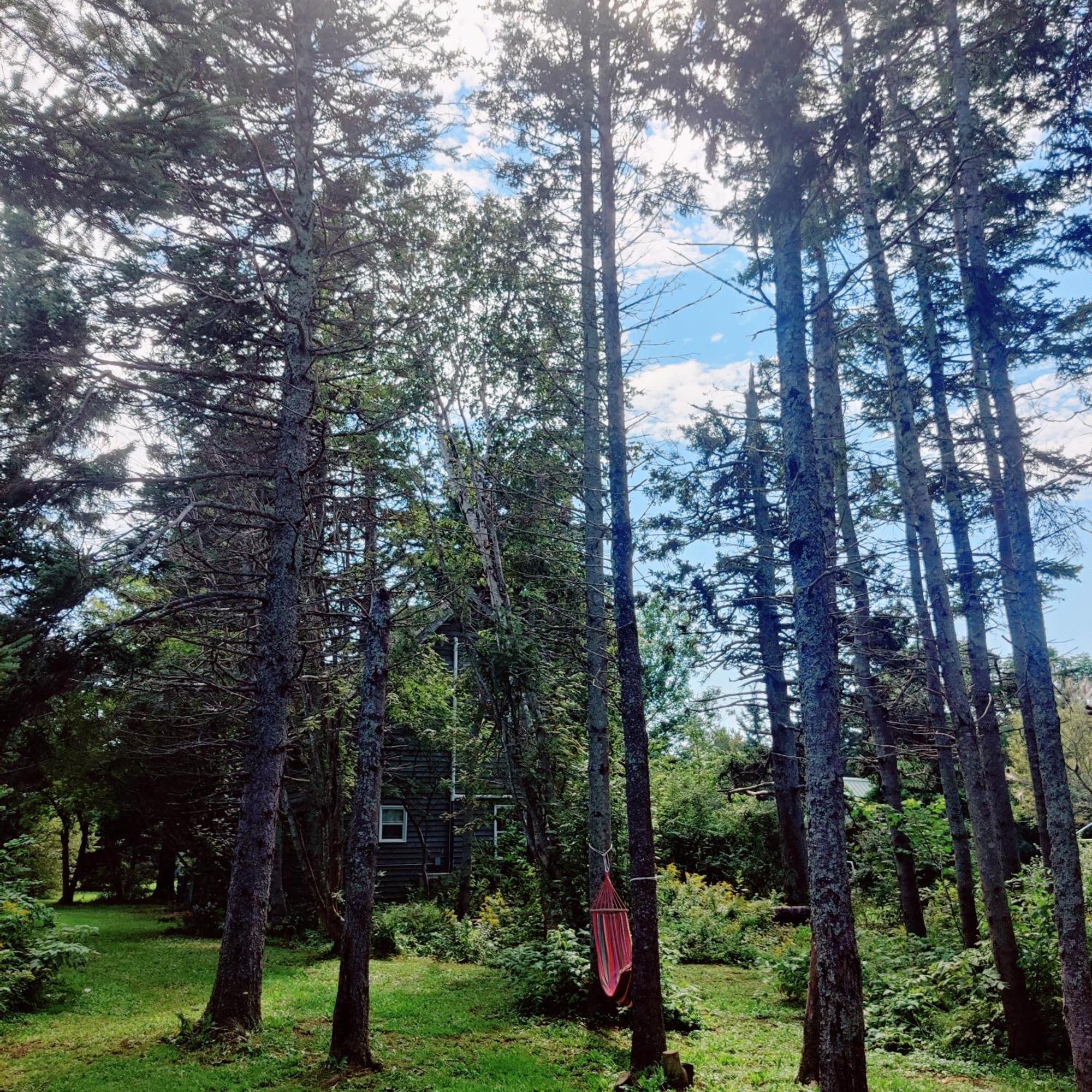 Avonlea Forest Hill Cottages New Glasgow 외부 사진